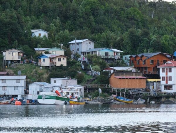 Merluza Austral filetes Pesca artesanal de Aysén - Imagen 5